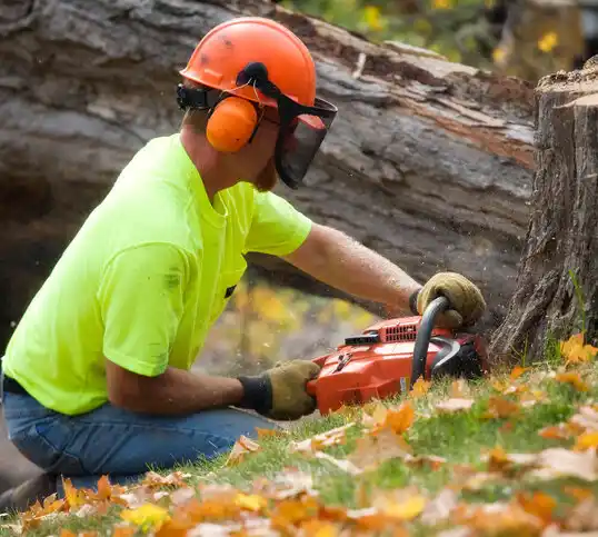 tree services New Prague